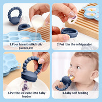 Baby Fruit Feeder Set